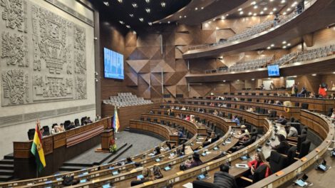 Ley de elecciones subnacionales en la Asamblea Legislativa Plurinacional