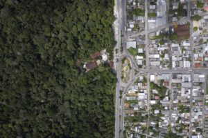 Biosocioeconomía amazónica en Brasil