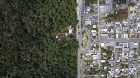 Biosocioeconomía amazónica en Brasil