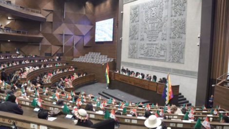 ley de elecciones subnacionales en la Cámara de Diputados
