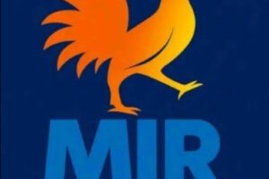 MIR elecciones subnacionales