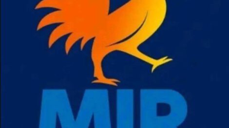 MIR elecciones subnacionales