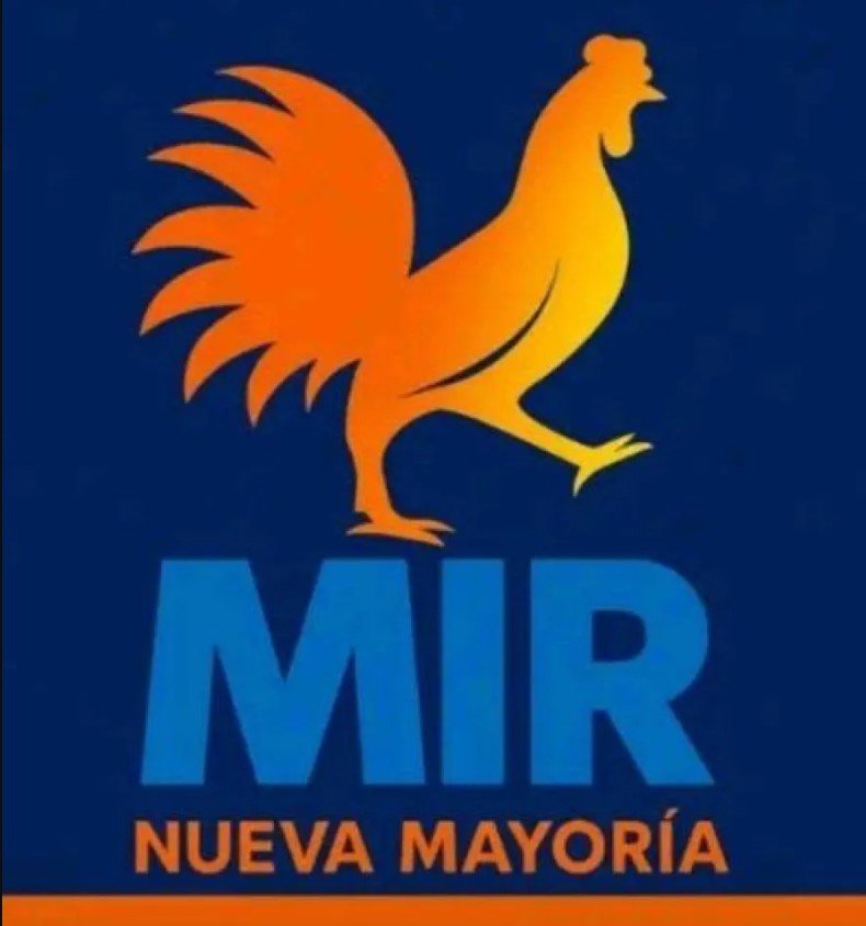 MIR elecciones subnacionales