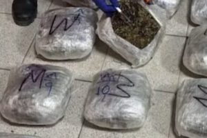 intervención de la Felcn en Santa Cruz