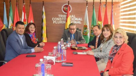 Cese de magistrados prorrogados del Tribunal Constitucional Plurinacional