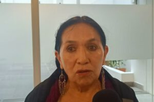 Crisis del Tribunal Constitucional según la senadora Tomasa Yarhui