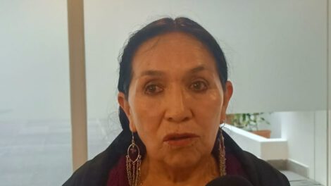 Crisis del Tribunal Constitucional según la senadora Tomasa Yarhui