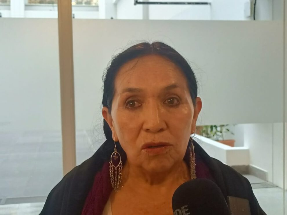 Crisis del Tribunal Constitucional según la senadora Tomasa Yarhui