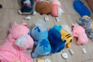 Detención de mujer boliviana con cocaína en peluches