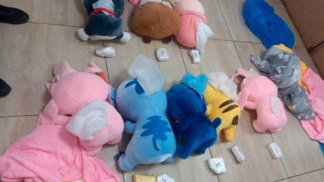 Detención de mujer boliviana con cocaína en peluches