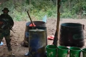 Desmantelamiento de fábricas de cocaína en Cochabamba