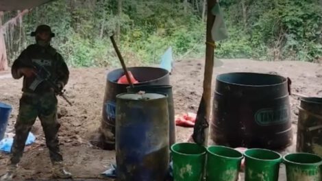 Desmantelamiento de fábricas de cocaína en Cochabamba