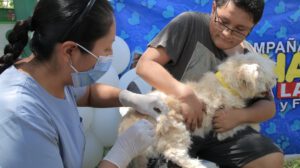 Vacunación antirrábica para perros y gatos