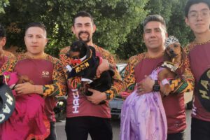 alianza para apoyar a canes callejeros en Oruro