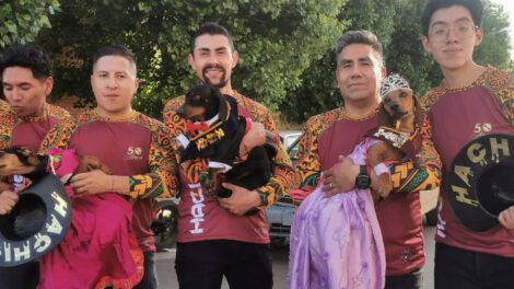 alianza para apoyar a canes callejeros en Oruro