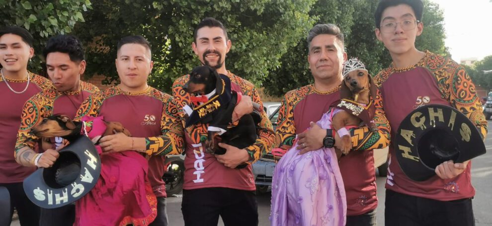 alianza para apoyar a canes callejeros en Oruro