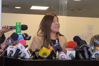 Viceministerio de Coca solicitado por diputada Eliana Condori