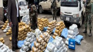 Secuestran más de dos toneladas de marihuana en operativo en Quillacollo