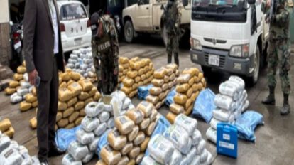 Secuestran más de dos toneladas de marihuana en operativo en Quillacollo