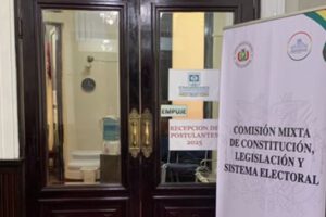 Postulaciones vocales TSE