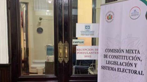 Postulaciones vocales TSE