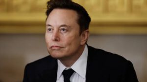 Elon Musk compara a la UE con el régimen nazi
