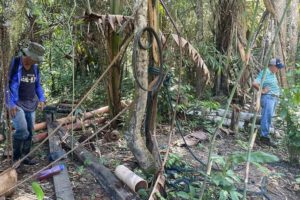 Etnocidio en Tacanas II: Minería ilegal amenaza con desaparecer un pueblo indígena