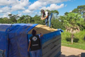 Controles para frenar contrabando de arroz