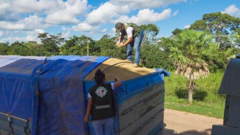 Controles para frenar contrabando de arroz