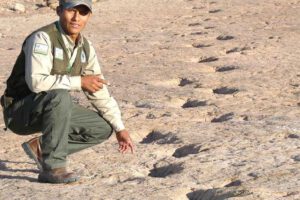 Protección de huellas de dinosaurios en el Parque Nacional Toro Toro