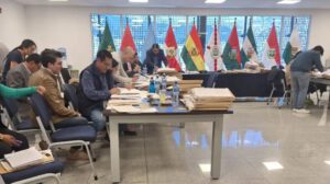 Revisión de méritos TSE por la Comisión Mixta de Constitución