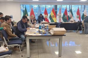 Revisión de méritos TSE por la Comisión Mixta de Constitución