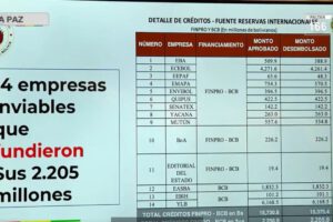 Empresas del MAS y el saqueo a los recursos del Estado