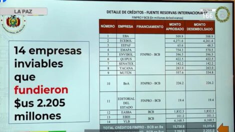 Empresas del MAS y el saqueo a los recursos del Estado