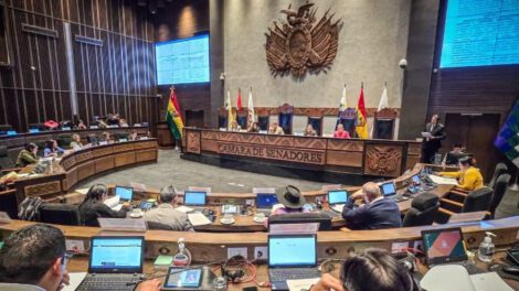 crédito de 100 millones en la Cámara de Senadores