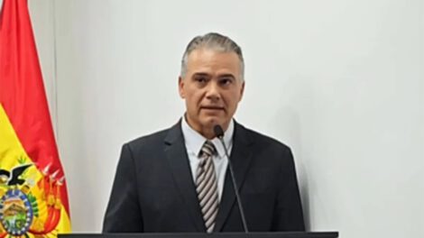 cultivos de coca en Bolivia