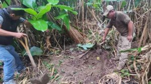 muerte de adolescente en Ivirgarzama