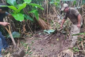 muerte de adolescente en Ivirgarzama