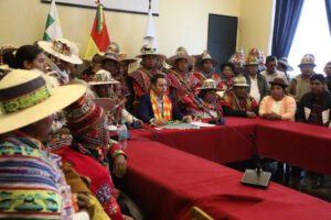 Rechazo a eliminación de subvención por líderes indígenas