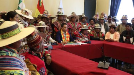 Rechazo a eliminación de subvención por líderes indígenas