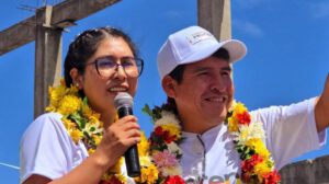 Morena en subnacionales