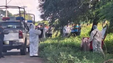 Hallan cadáver en refrigerador en Santa Cruz