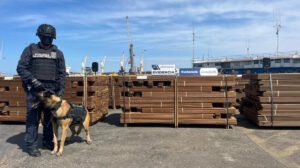 Cocaína camuflada en madera incautada en Chile