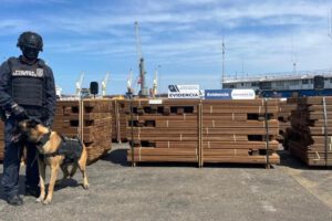 Cocaína camuflada en madera incautada en Chile