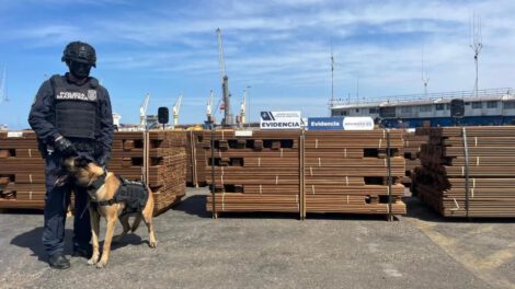 Cocaína camuflada en madera incautada en Chile