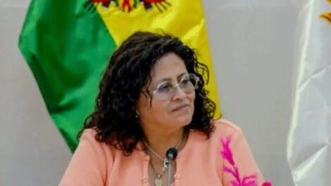 Ministra de Salud, Marcela Flores, variante K de gripe