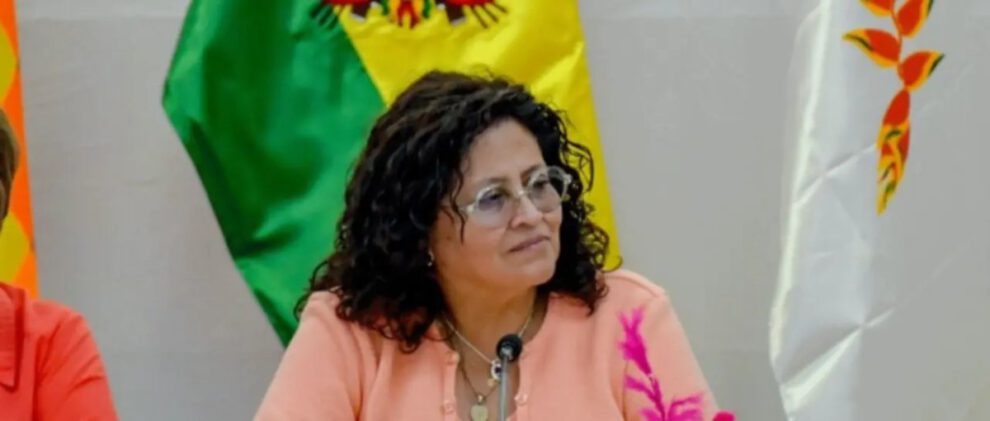 Ministra de Salud, Marcela Flores, variante K de gripe