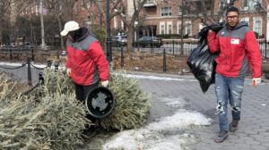 Reciclaje de árboles de Navidad en Nueva York