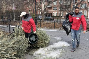 Reciclaje de árboles de Navidad en Nueva York