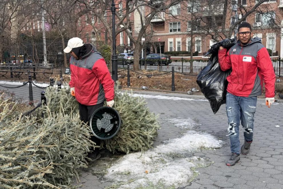 Reciclaje de árboles de Navidad en Nueva York
